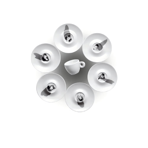 illy collection 